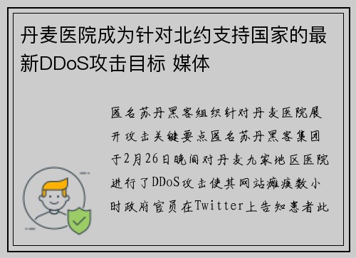 丹麦医院成为针对北约支持国家的最新DDoS攻击目标 媒体