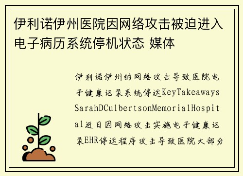 伊利诺伊州医院因网络攻击被迫进入电子病历系统停机状态 媒体